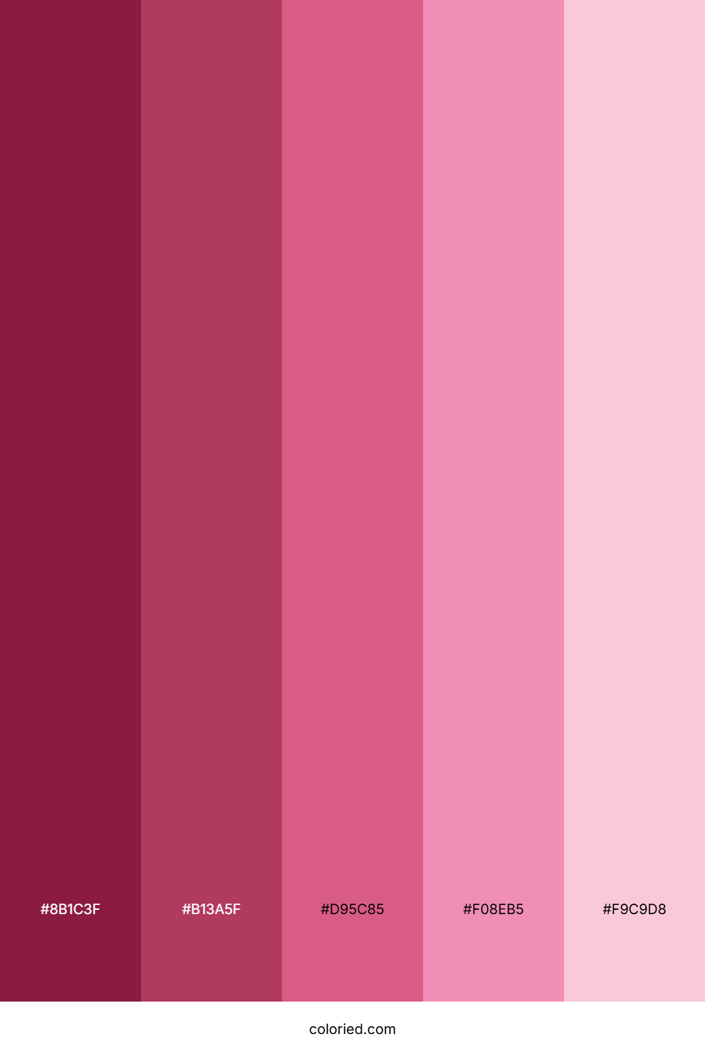 Dark to Light Pink Color Palette