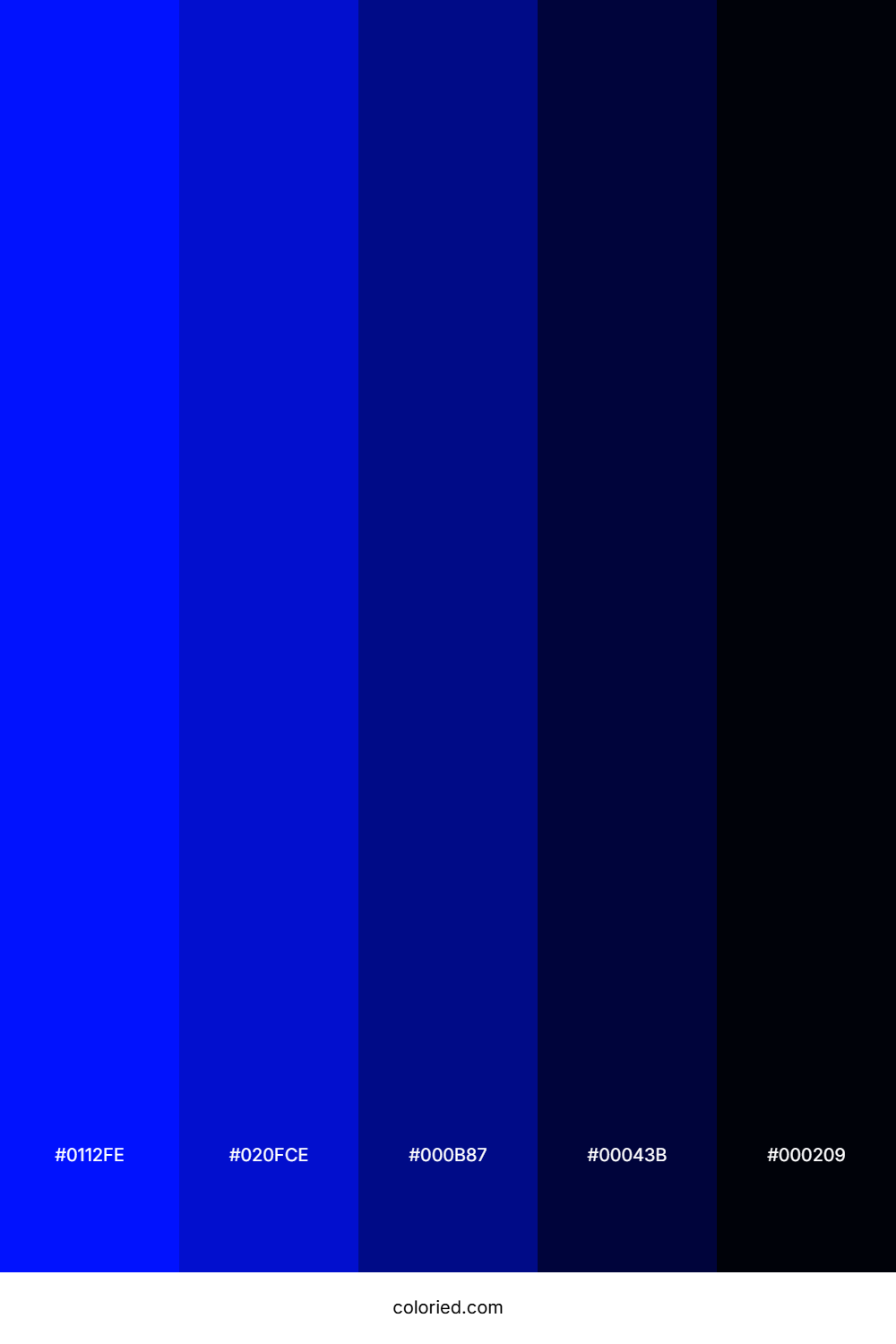 Deep Blue and Midnight Black Color Palette