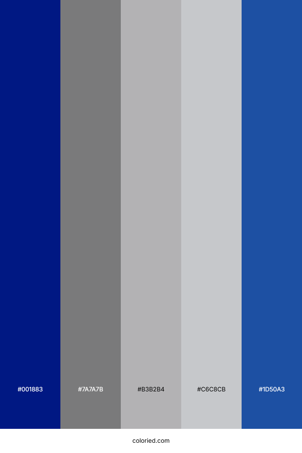 Deep Blue And Silver Color Palette