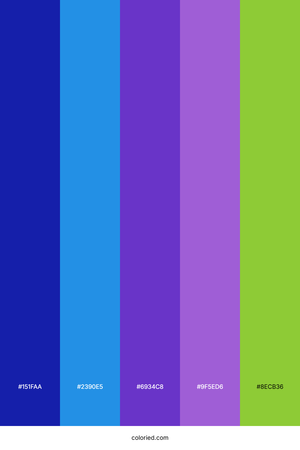 Deep Blue And Vibrant Purple Color Palette