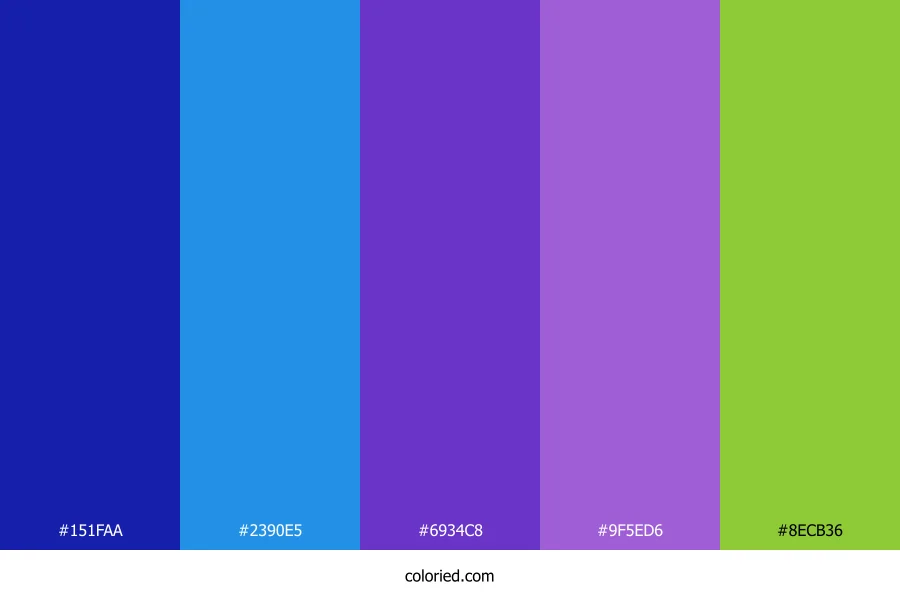 Deep Blue and Vibrant Purple Color Palette