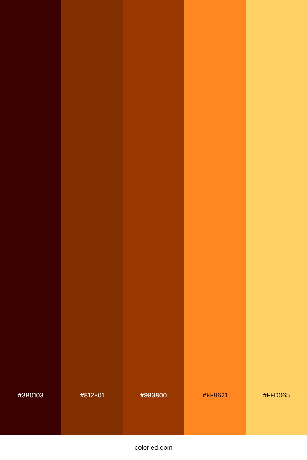 Deep Brown And Fiery Orange Color Palette