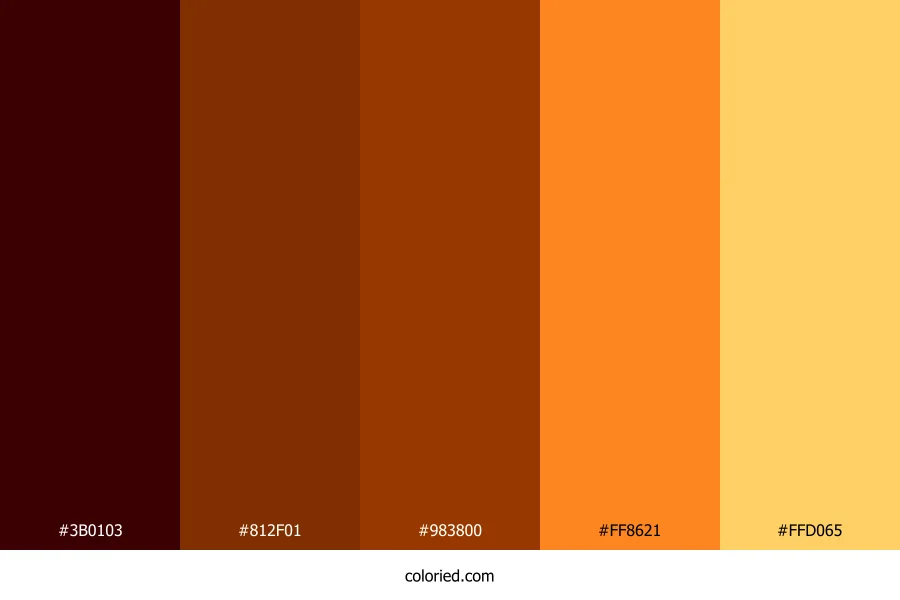 Deep Brown and Fiery Orange Color Palette
