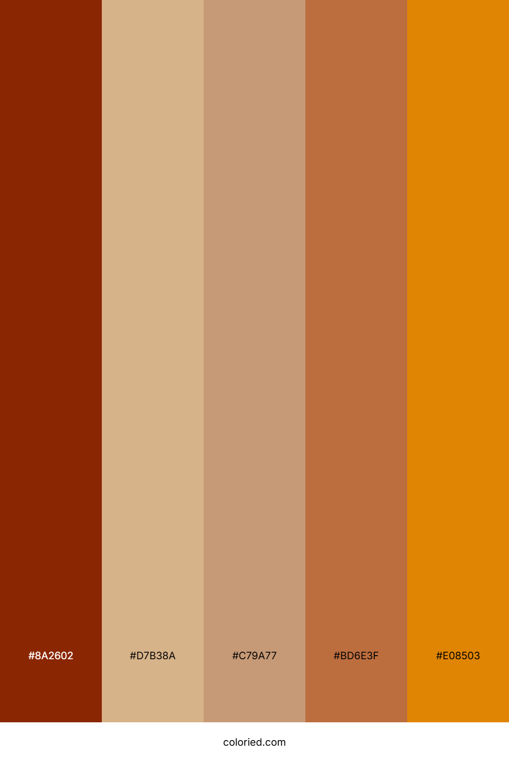 Deep Brown and Warm Tan Color Palette