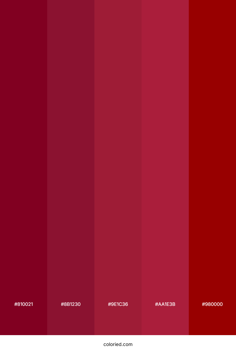 Deep Burgundy and Crimson Color Palette