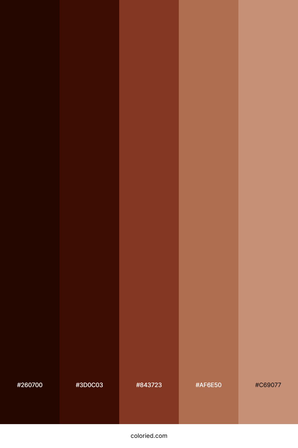Deep Cocoa Brown Palette