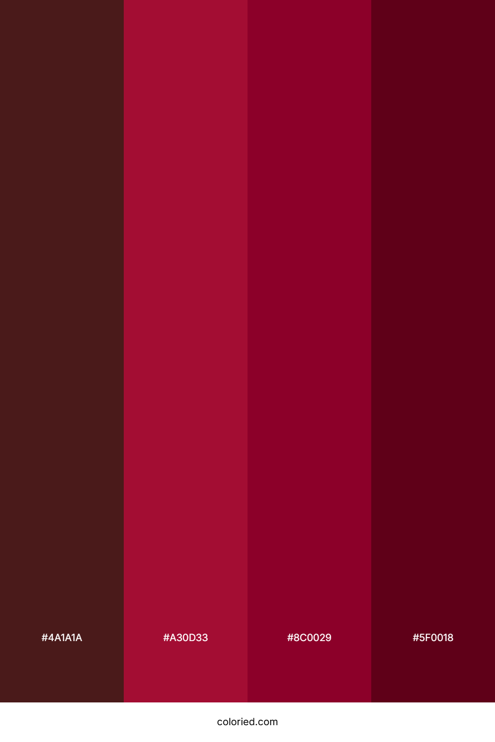 Deep Crimson and Charcoal Color Palette
