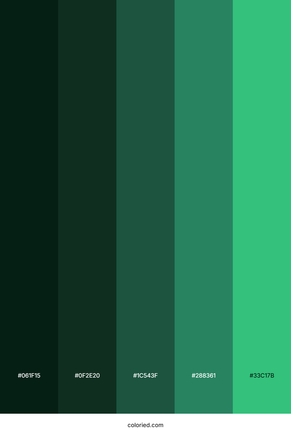 Deep Forest and Jade Green Color Palette