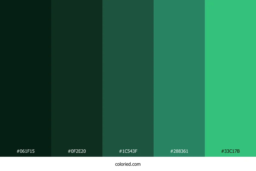 Deep Forest and Jade Green Color Palette