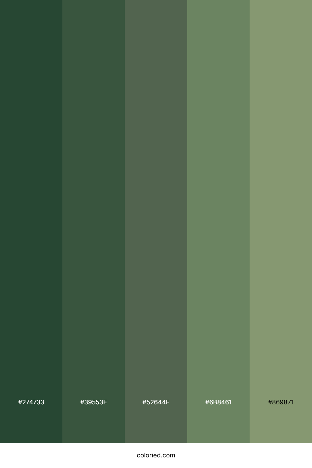 Deep Forest Green and Olive Color Palette