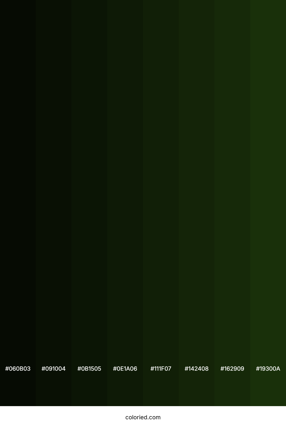 Deep Forest Green Shades