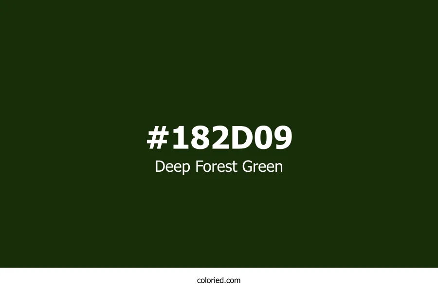Deep Forest Green Color Hex Code