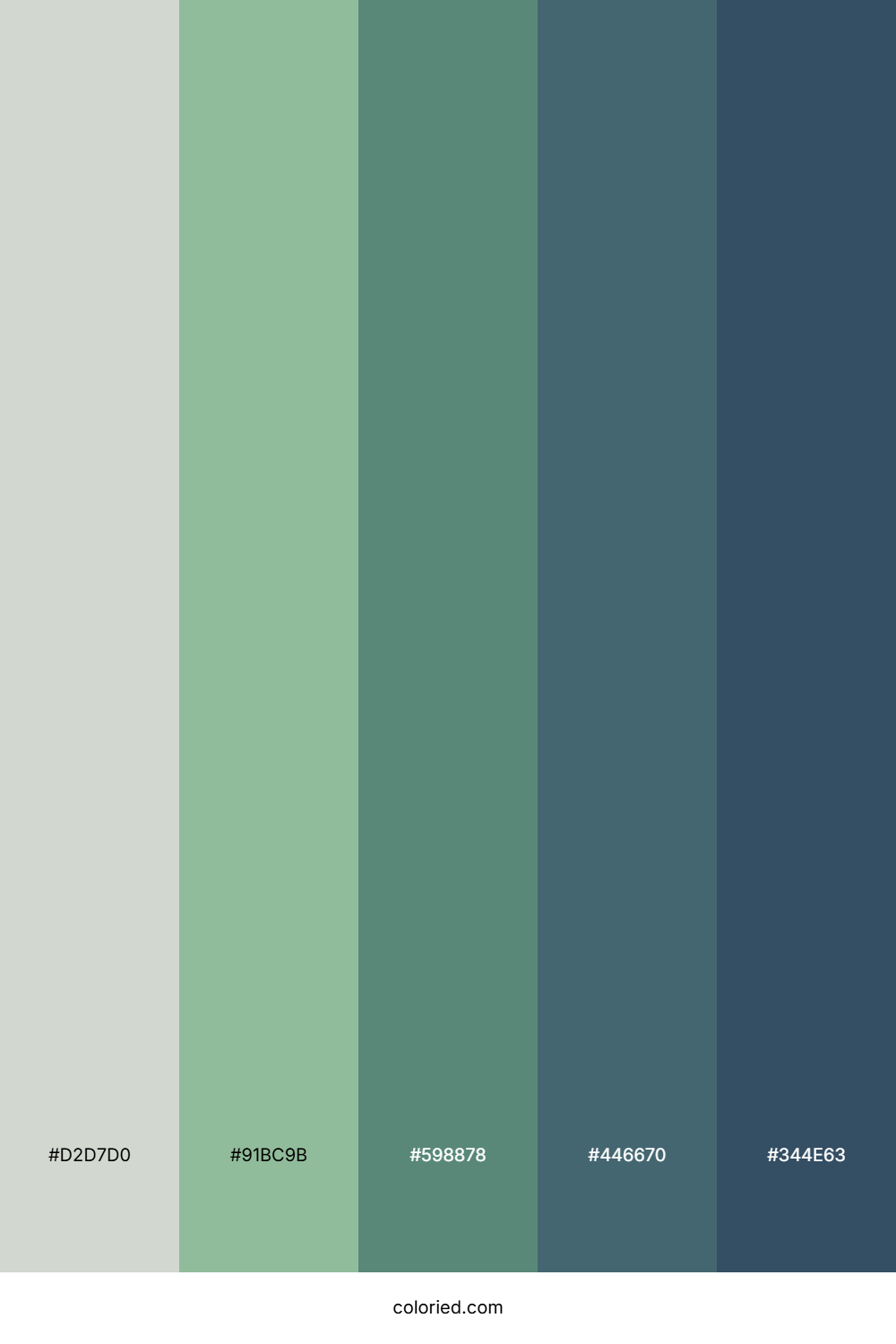 Deep Forest Moss Color Palette