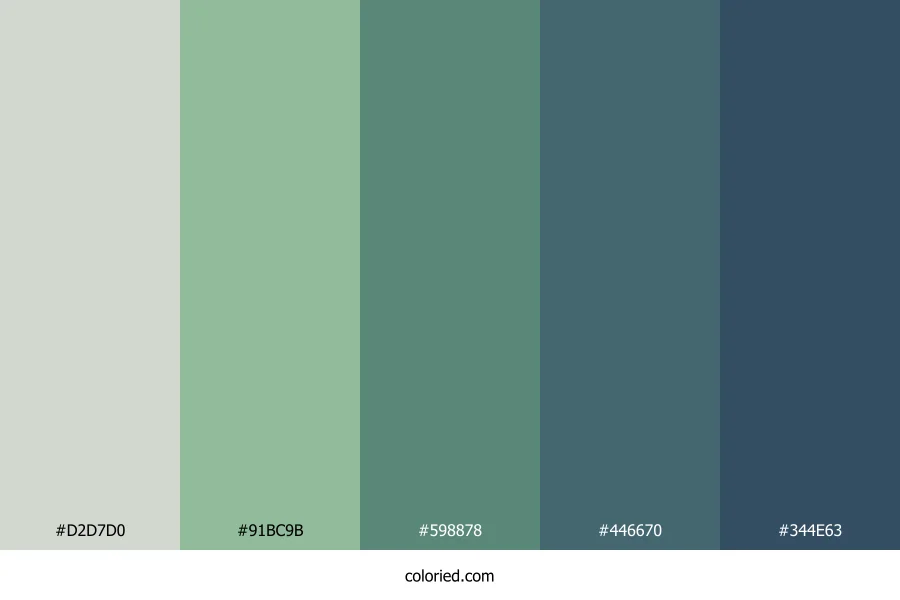 Deep Forest Moss Color Palette