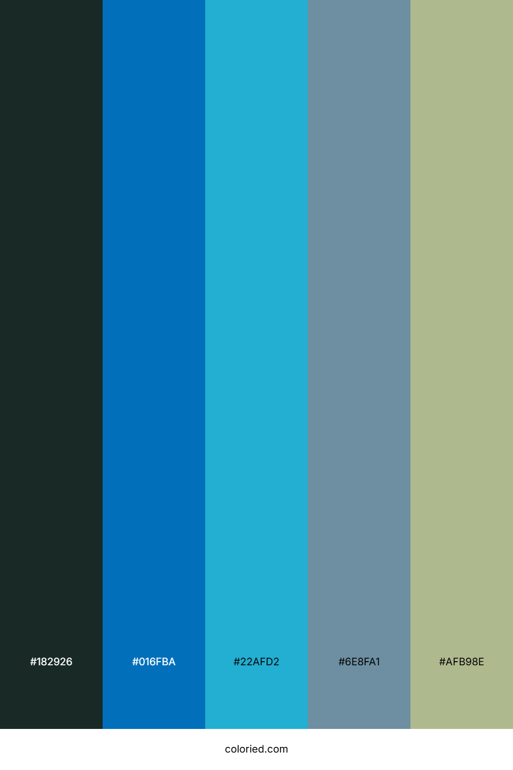 Deep Forest Ocean Palette
