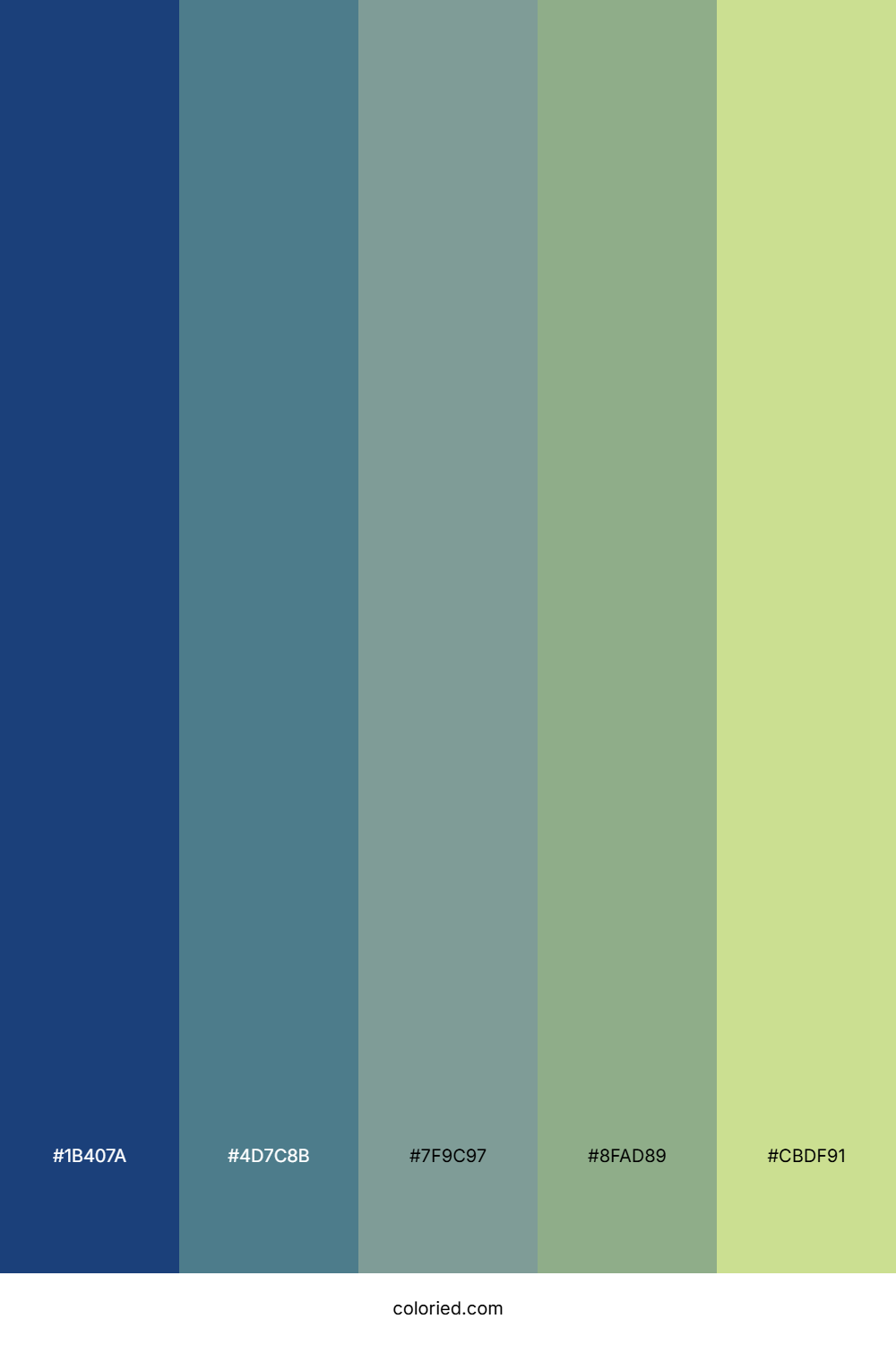 Deep Forest Sunset Color Palette