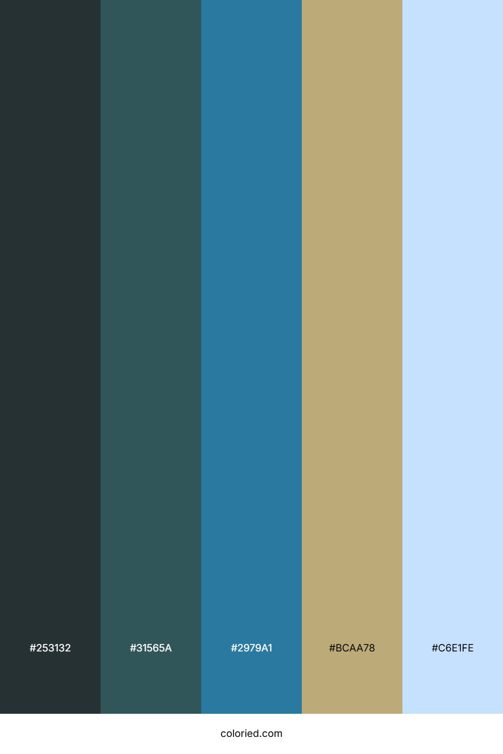 Deep Forest Tide Color Palette