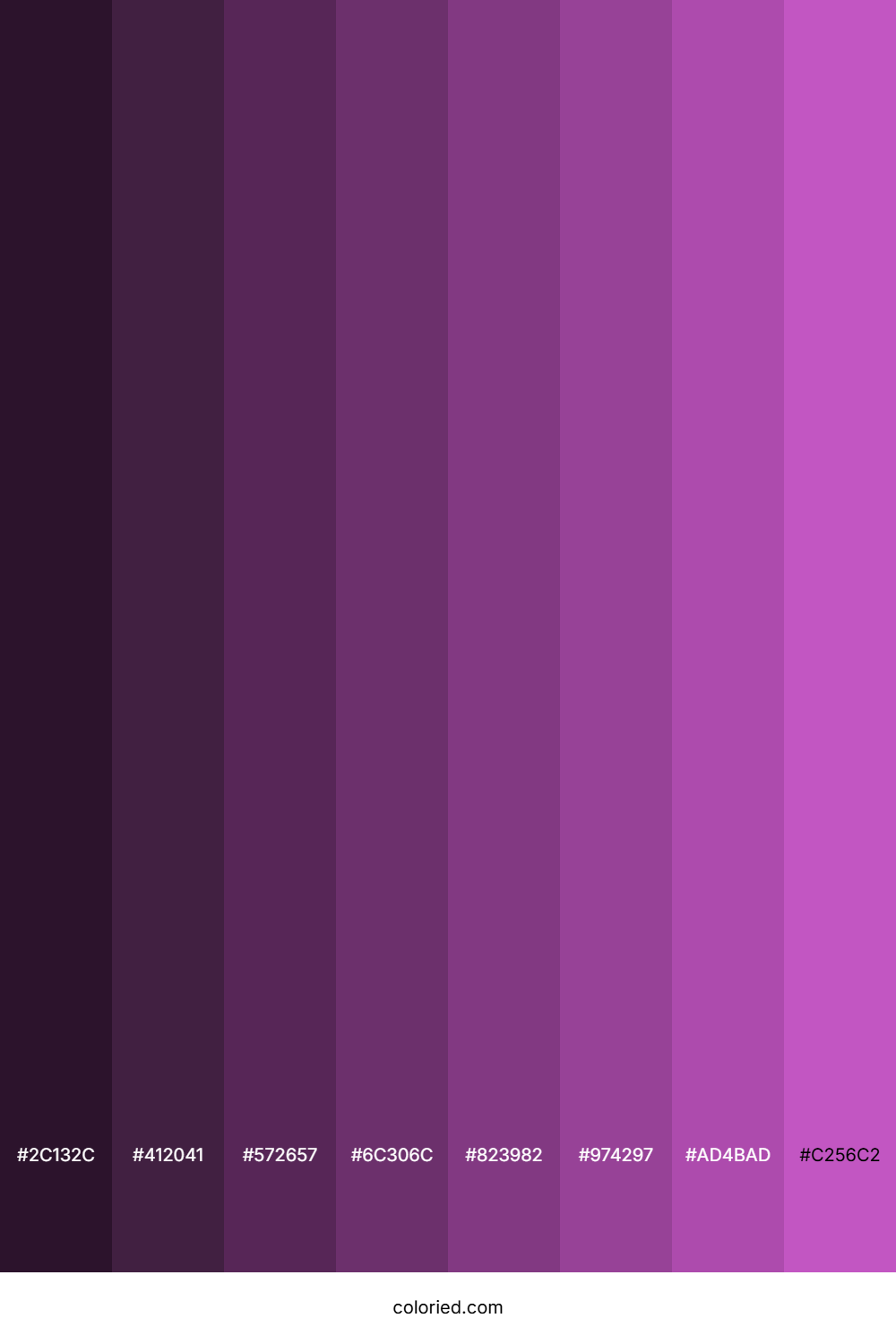 Deep Fuchsia Color Shades