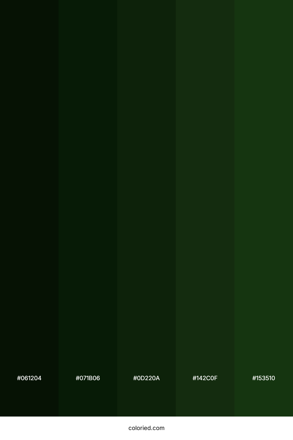 Deep Green and Forest Green Color Palette