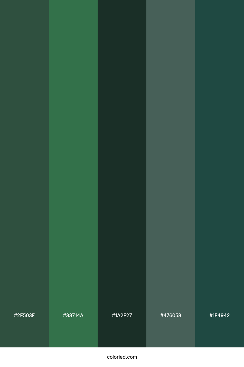 Deep Green and Teal Color Palette