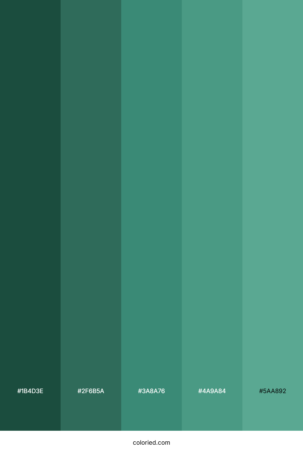 Deep Green Shades Color Palette