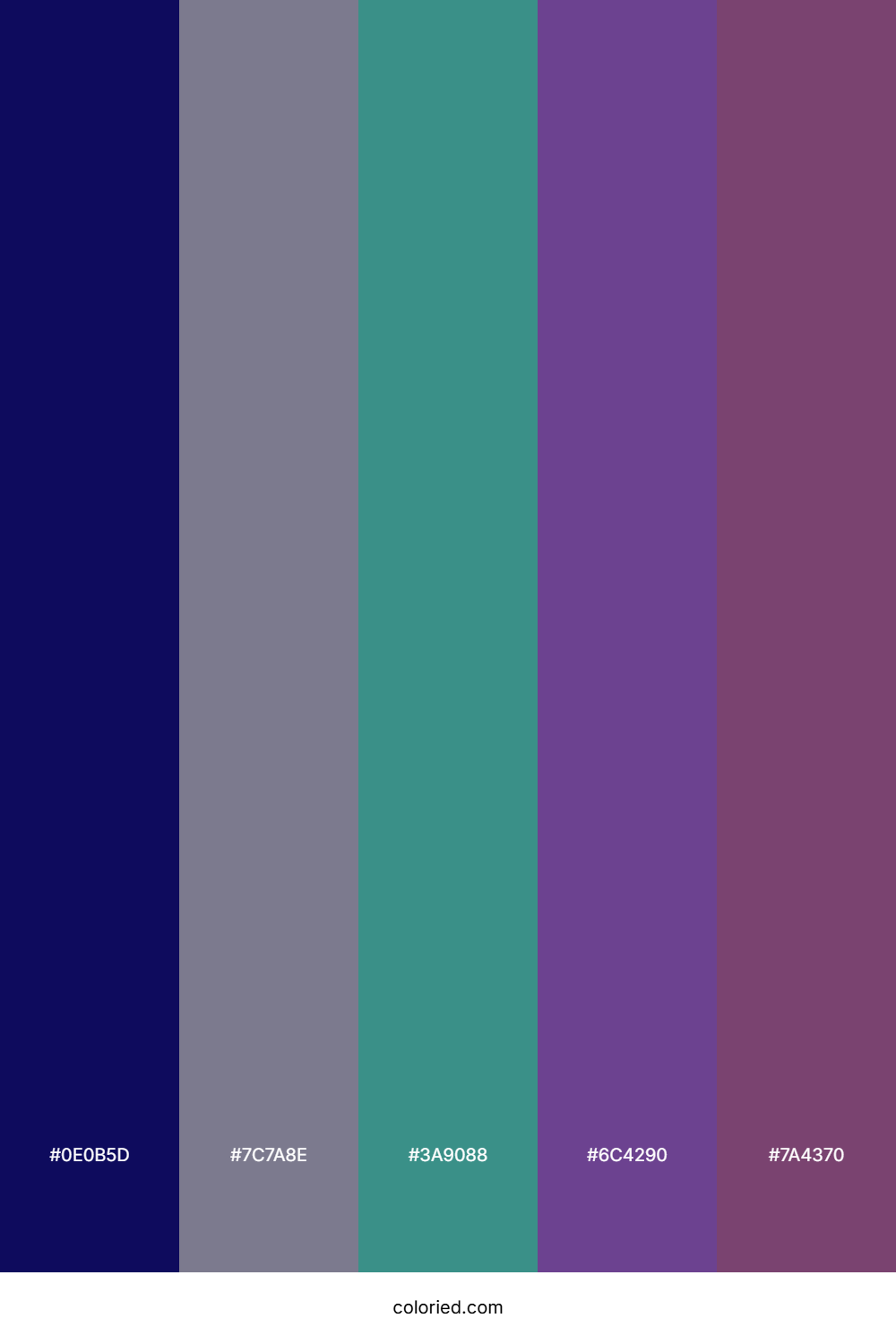 Deep Indigo and Slate Gray Color Palette