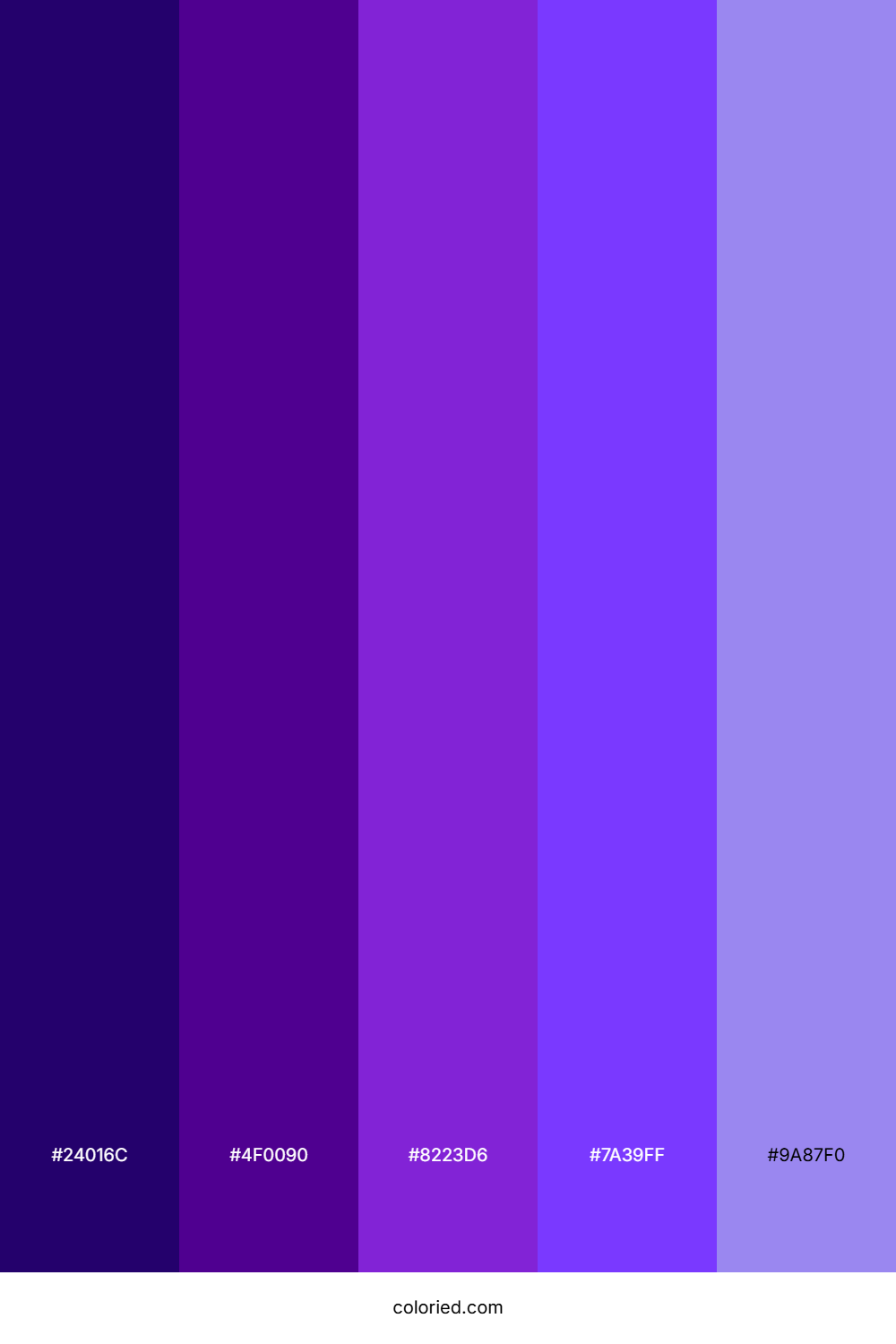 Deep Indigo and Violet Color Palette