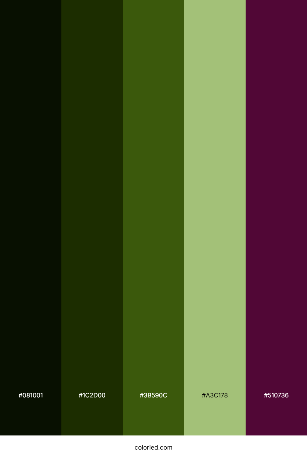 Deep Jungle Berry Palette