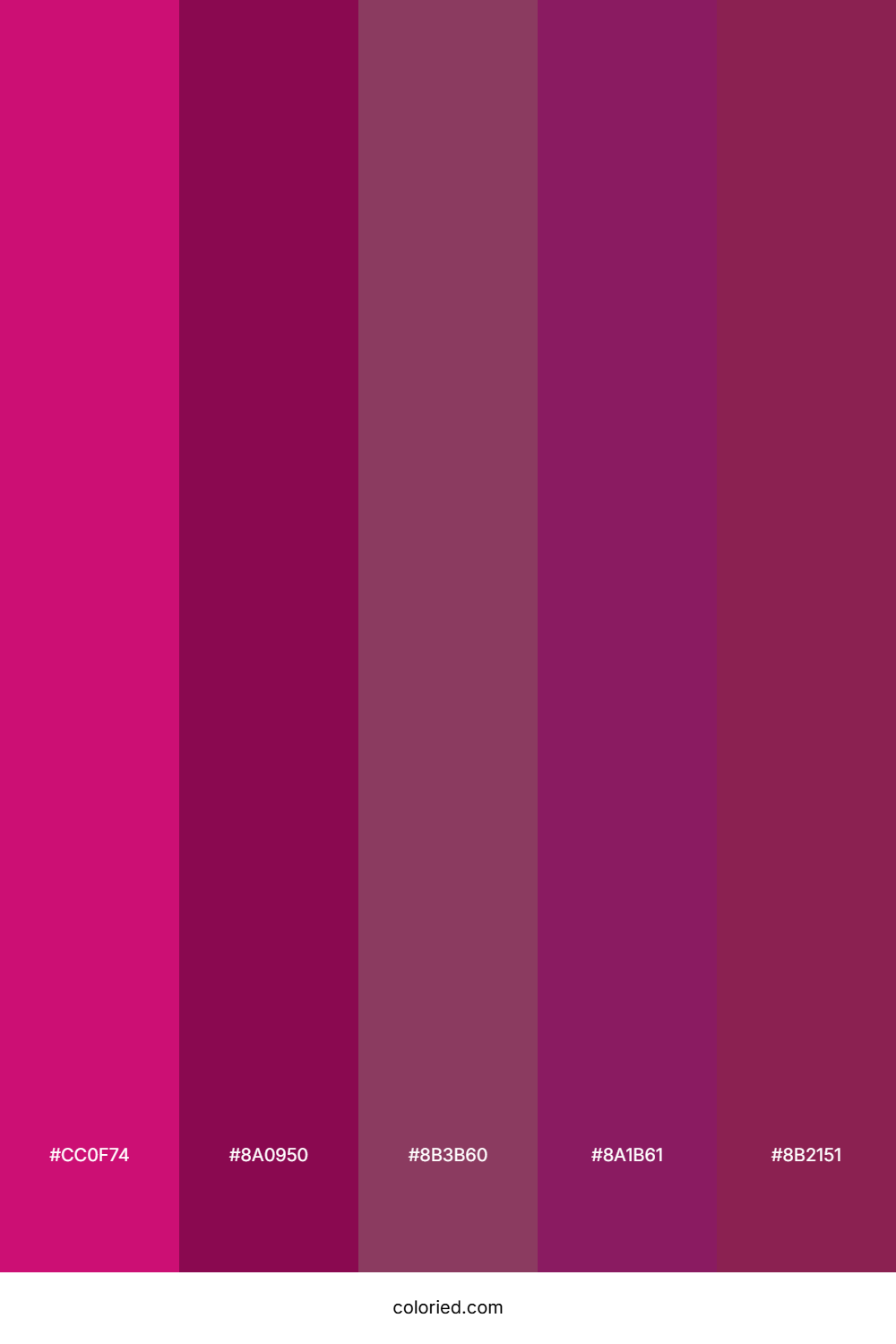 Deep Magenta and Dark Berry Color Palette