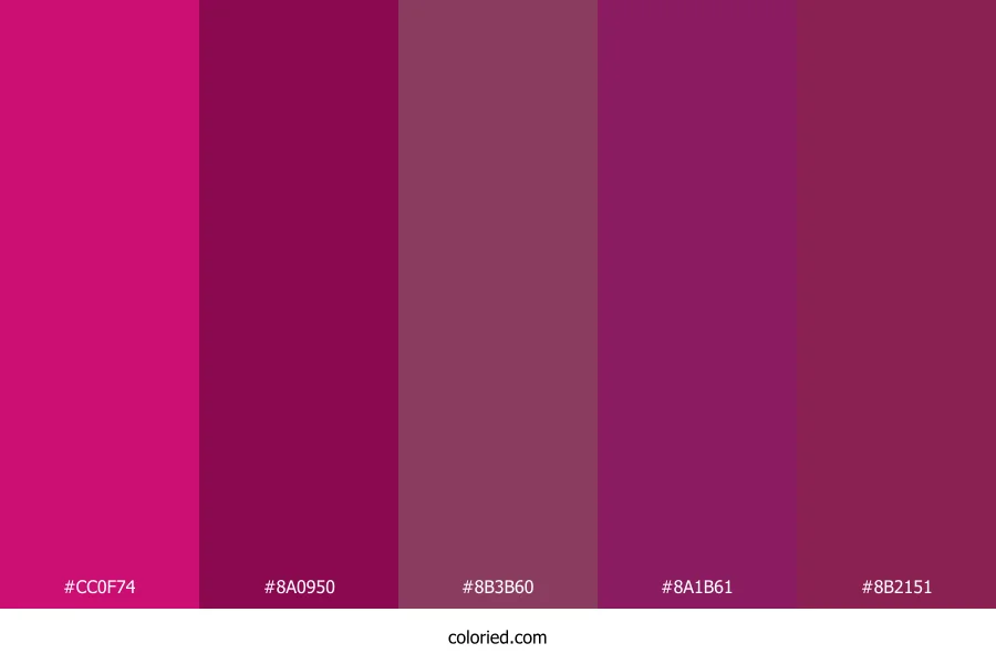 Deep Magenta and Dark Berry Color Palette