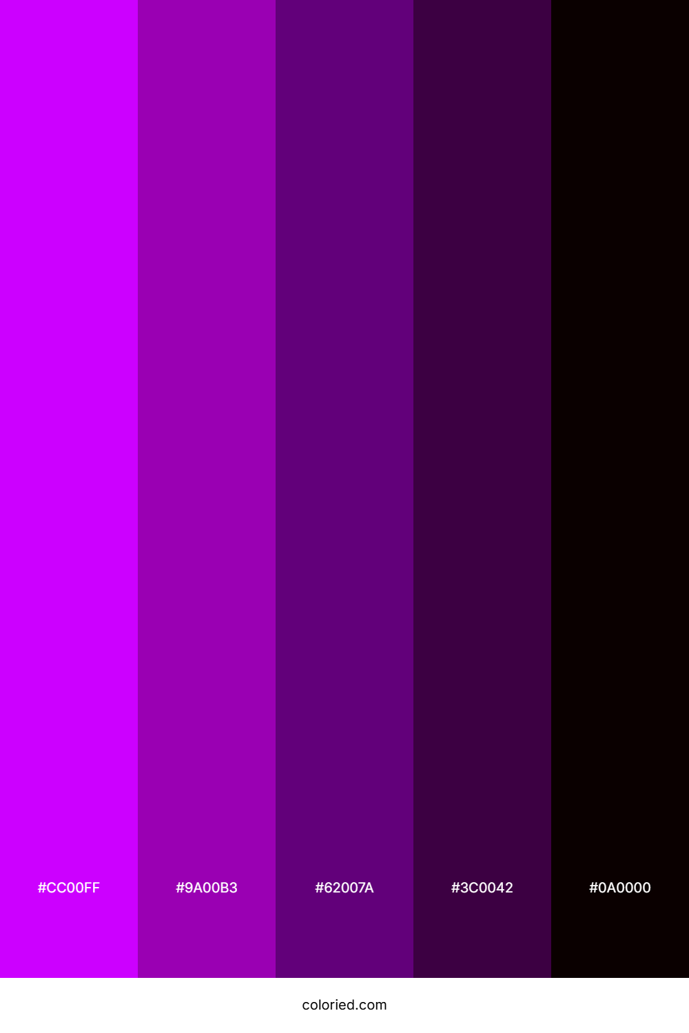 Deep Magenta and Plum Color Palette
