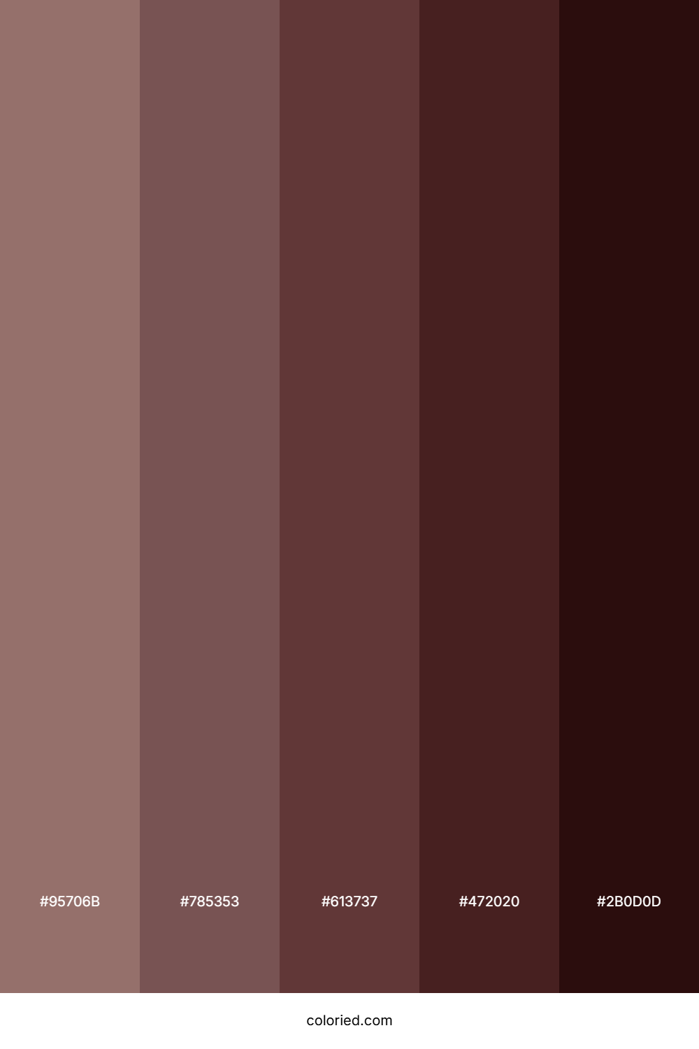 Deep Maroon and Chocolate Color Palette