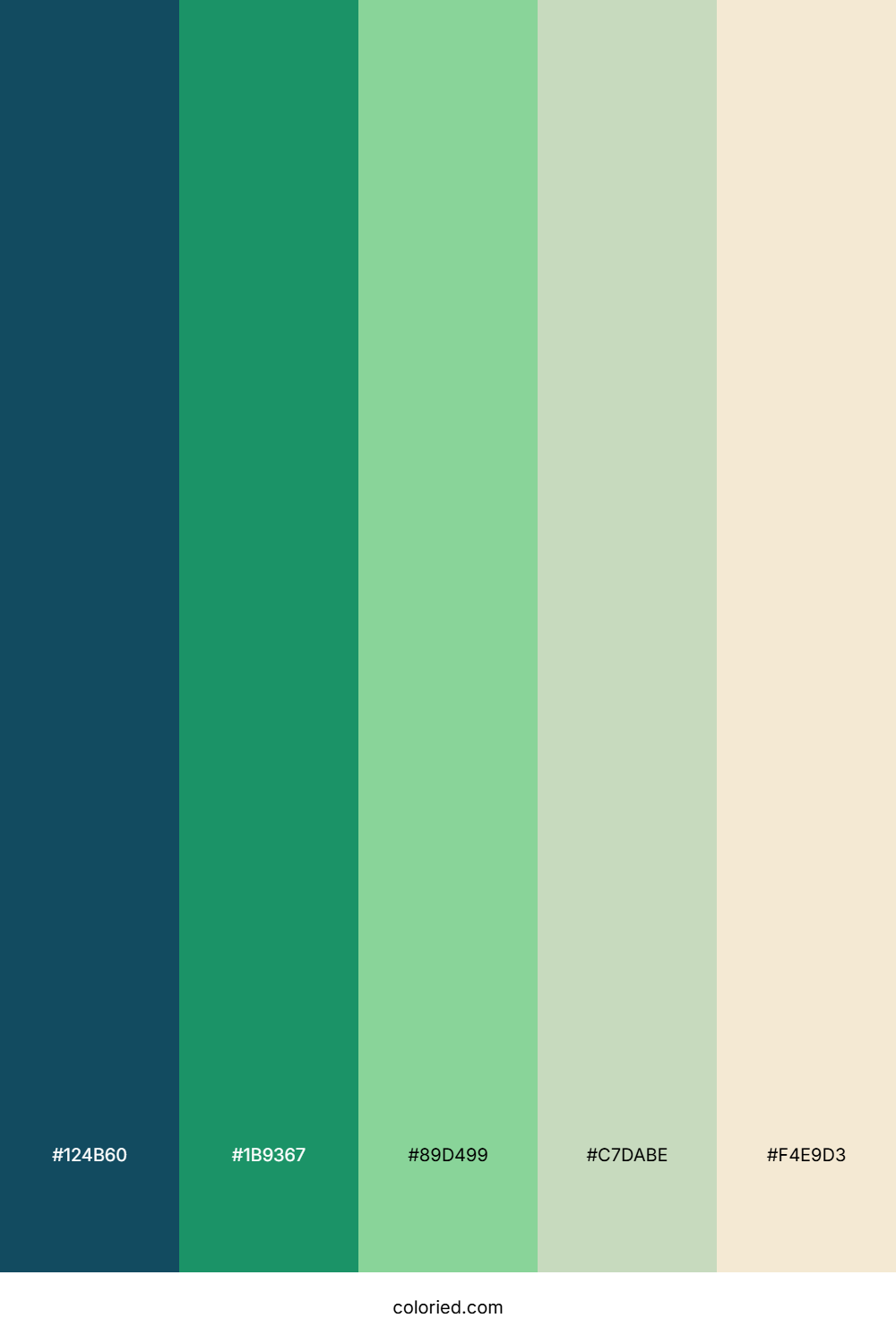 Deep Mint Reef Color Palette