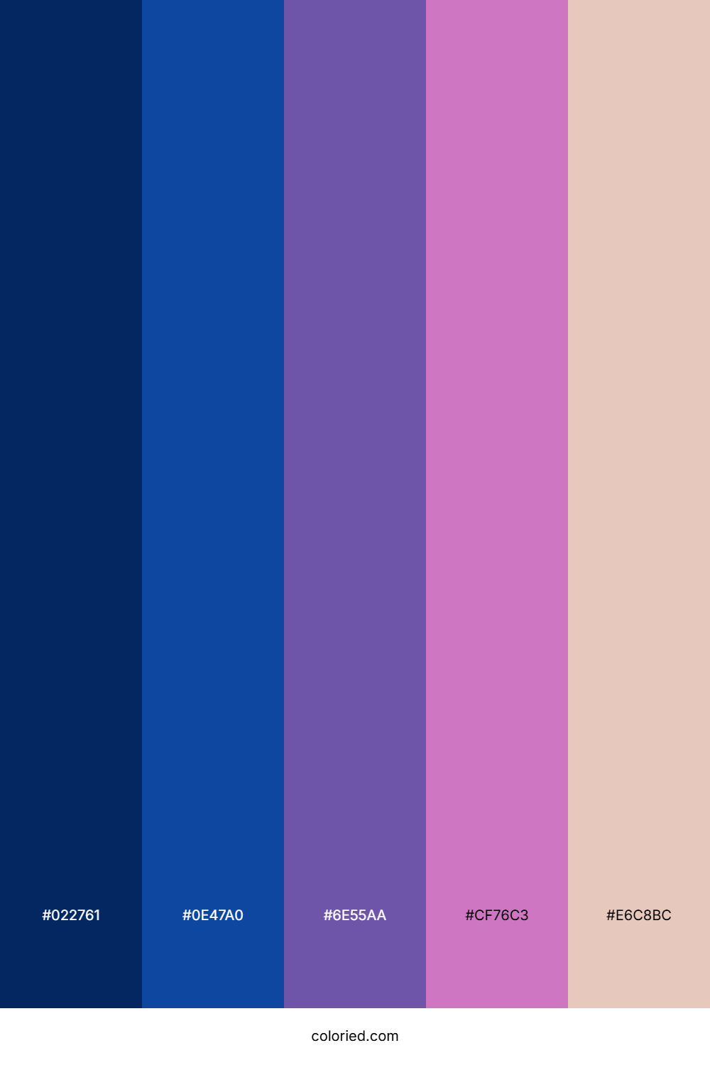 Deep Navy And Blush Color Palette