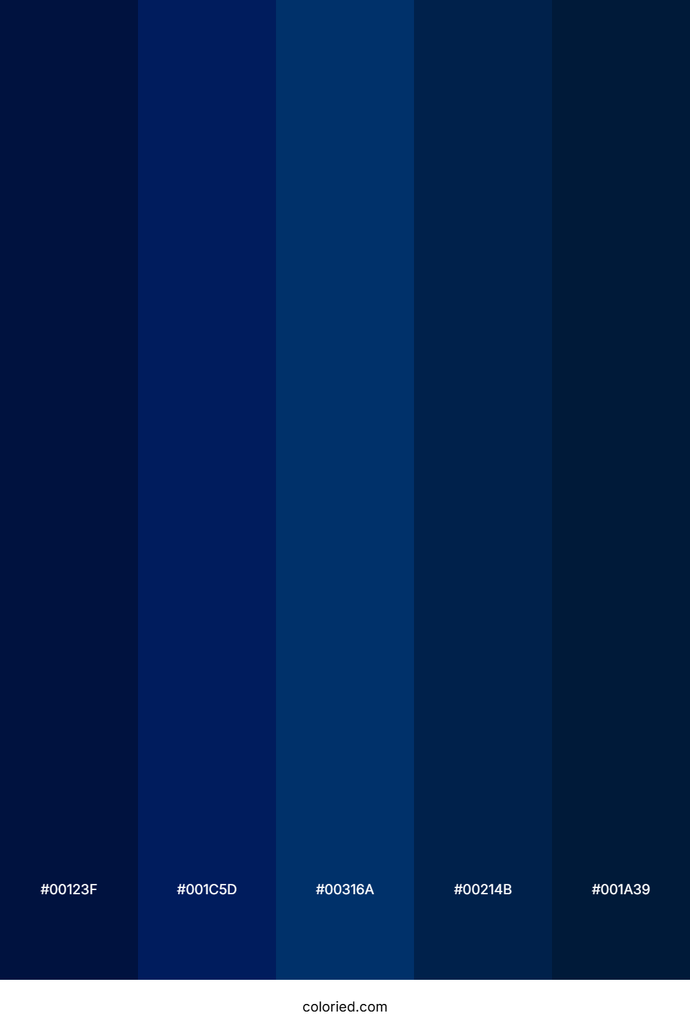 Deep Navy and Midnight Blue Color Palette