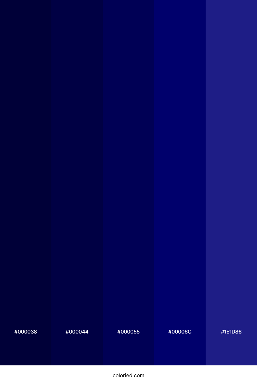 Deep Navy and Royal Blue Color Palette