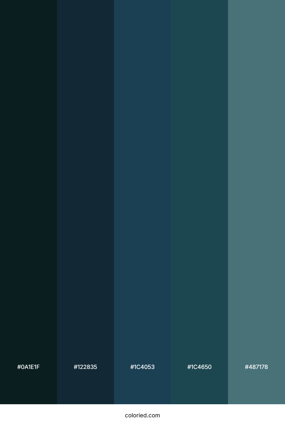 Deep Ocean Twilight Color Palette