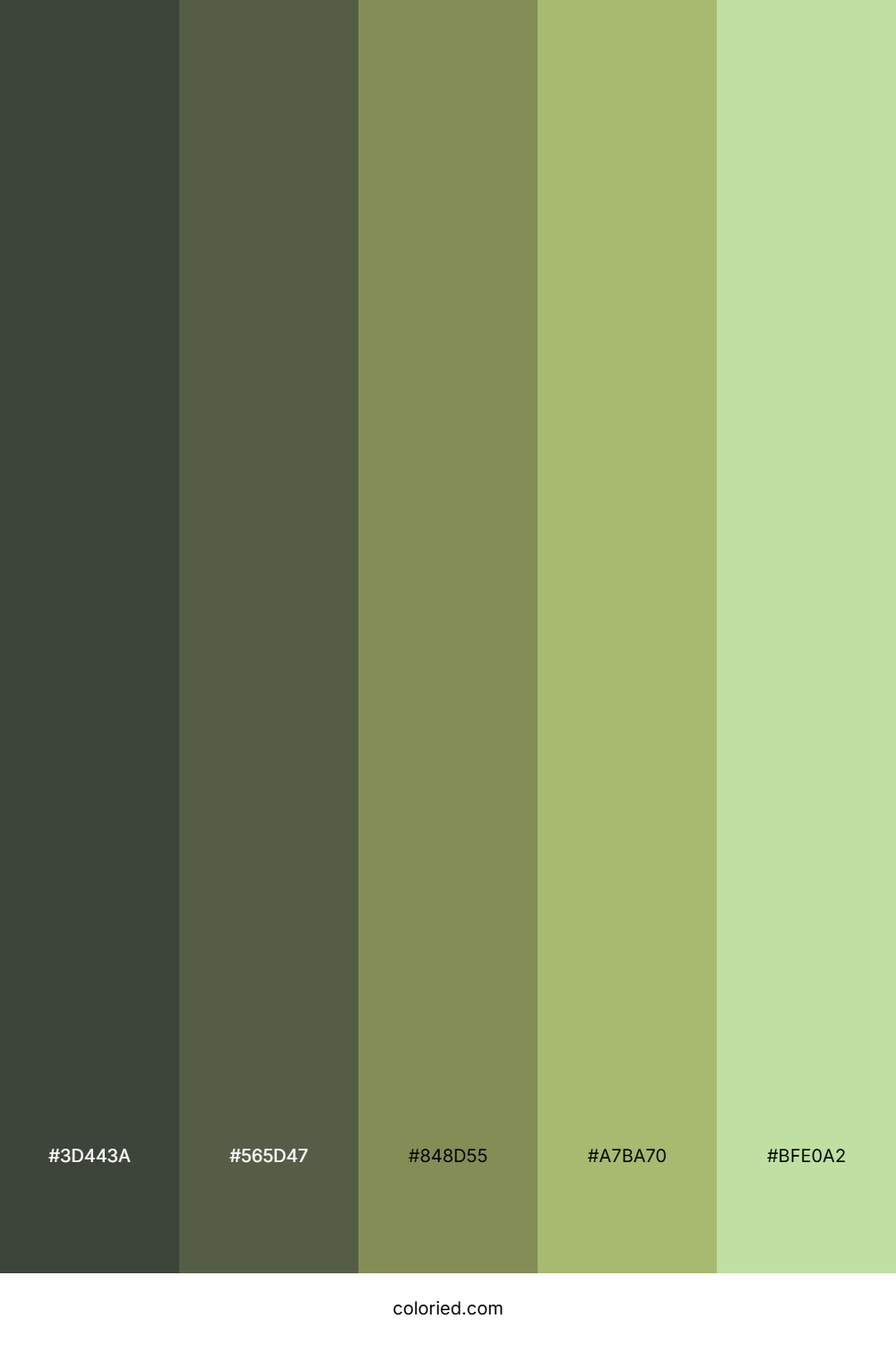 Deep Olive And Soft Green Color Palette