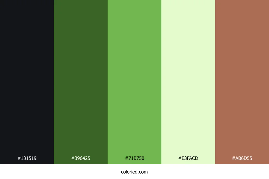 Deep Pine Canopy Color Palette