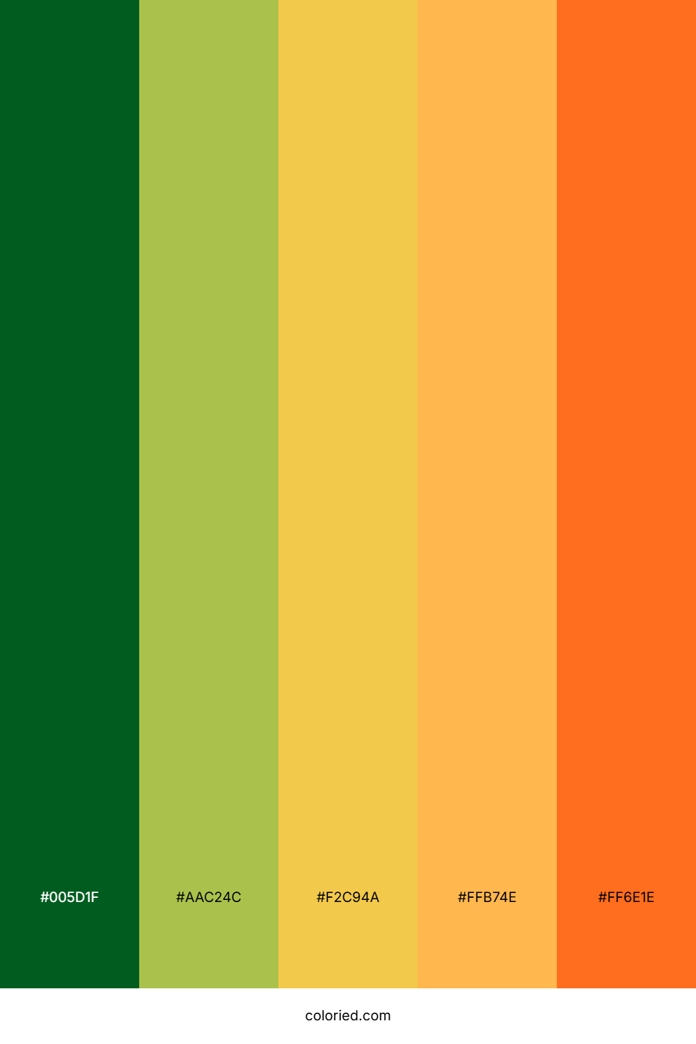 Deep Pine Citrus Palette