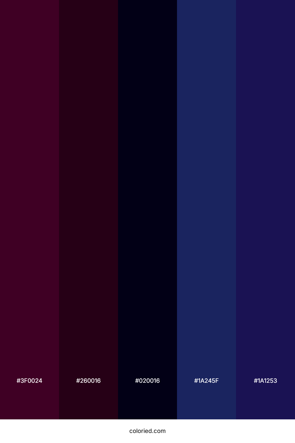 Deep Plum and Night Blue Color Palette