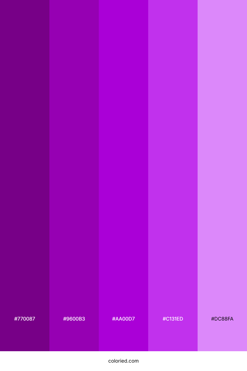 Deep Purple And Bright Violet Color Palette