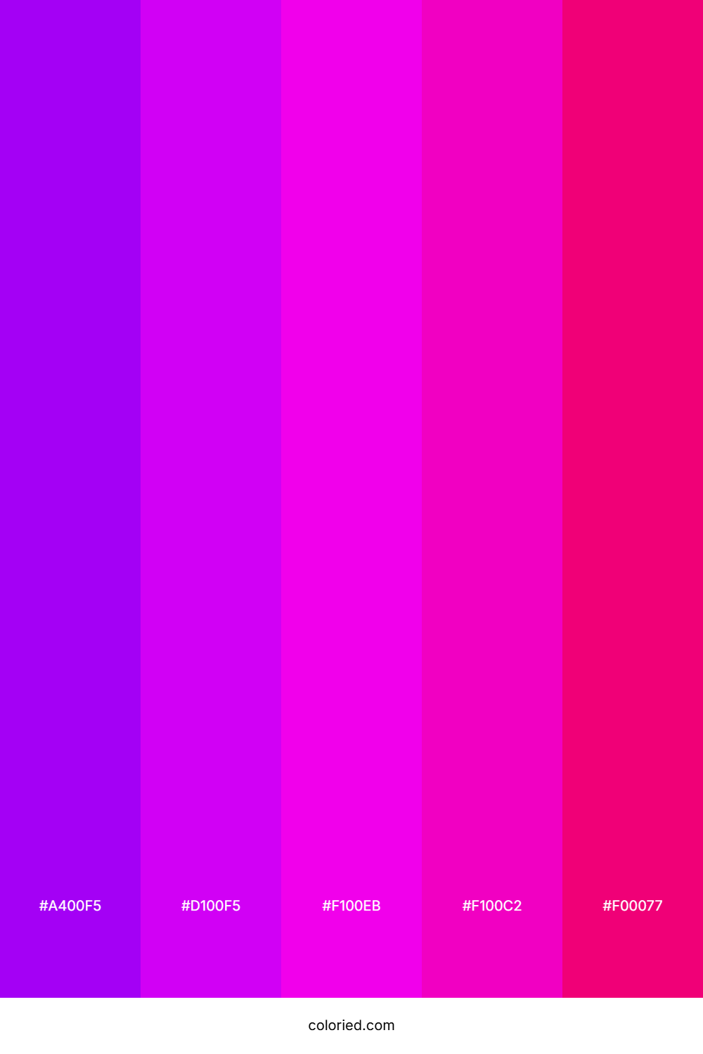Deep Purple and Fuchsia Color Palette