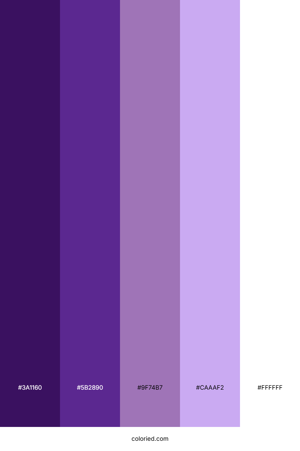 Deep Purple and Lavender Color Palette