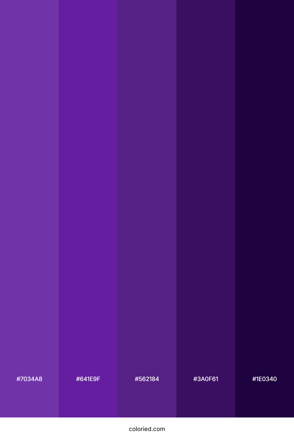 Deep Purple and Violet Color Palette