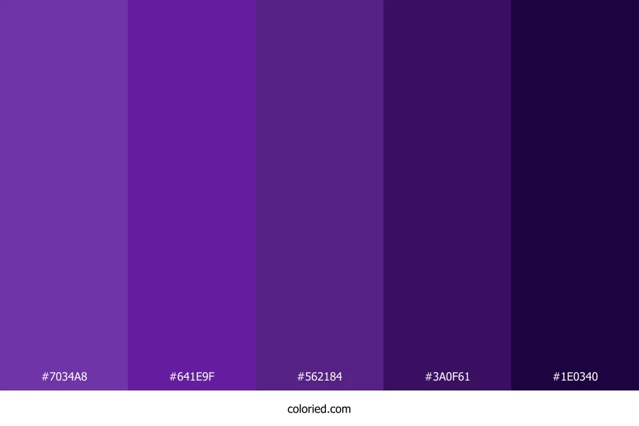 Deep Purple and Violet Color Palette