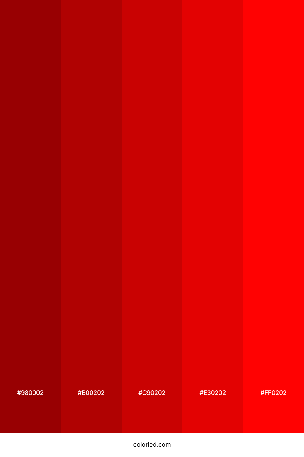 Deep Red and Scarlet Color Palette