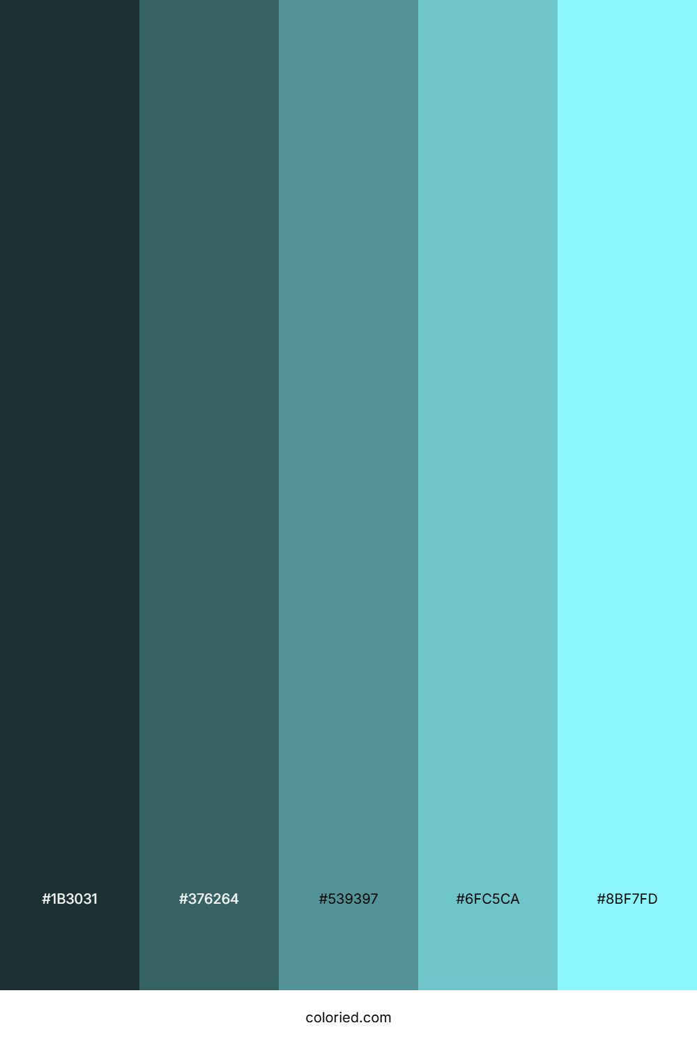 Deep Sea Mist Palette