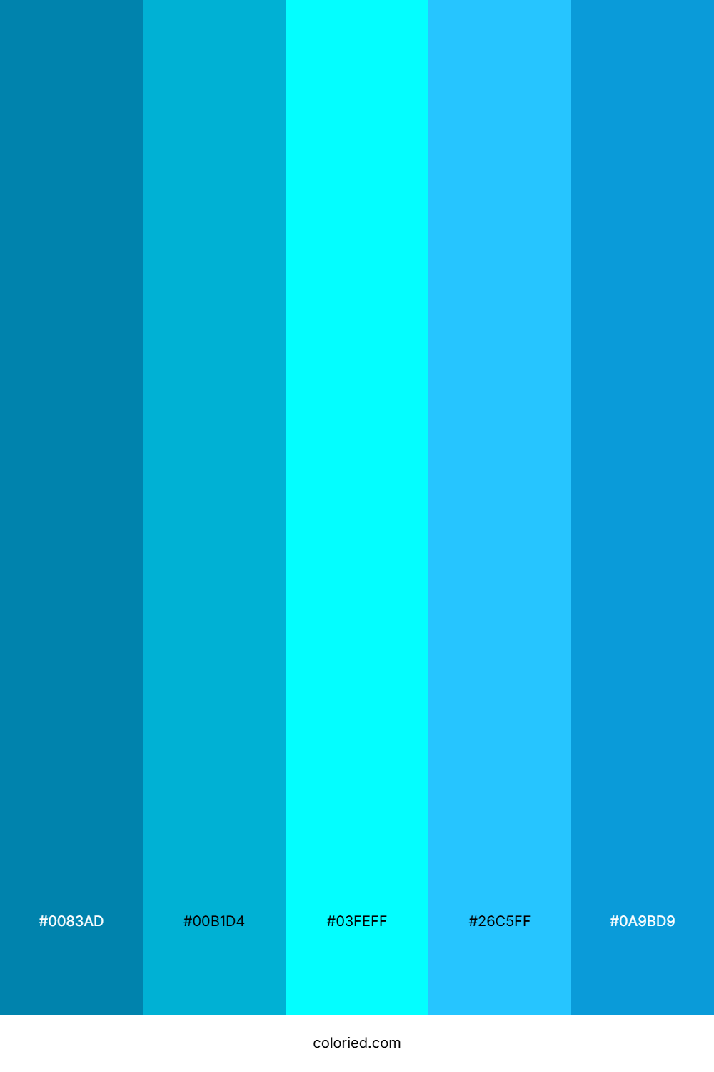 Deep Teal And Sky Blue Color Palette