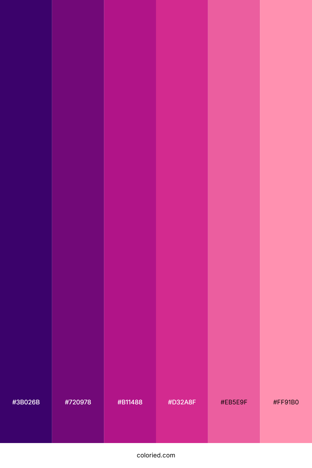 Deep Violet And Bright Pink Color Palette